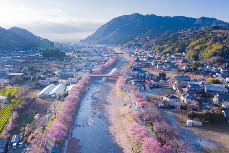 河津川(河津川水系)ライブカメラ一覧