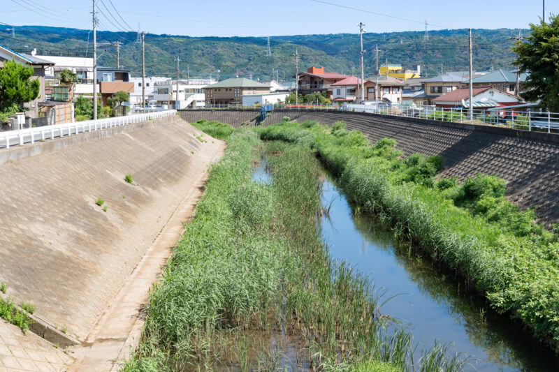 古川(狩野川水系)ライブカメラ一覧