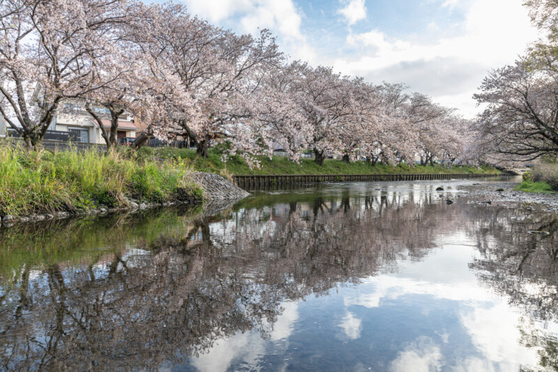 黒石川(栃山川水系)ライブカメラ一覧