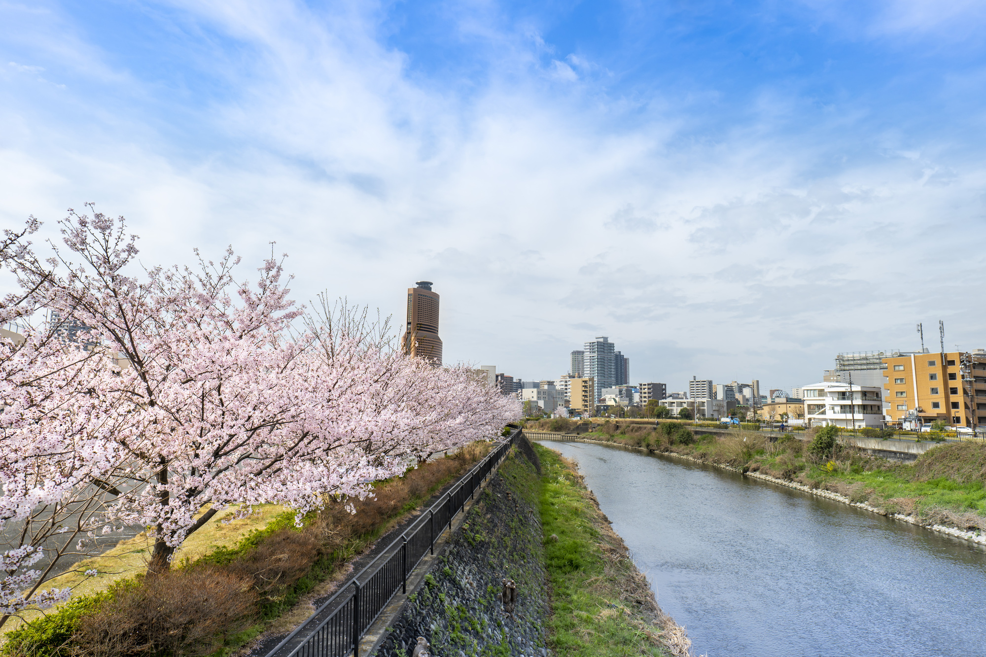 馬込川(馬込川水系)ライブカメラ一覧