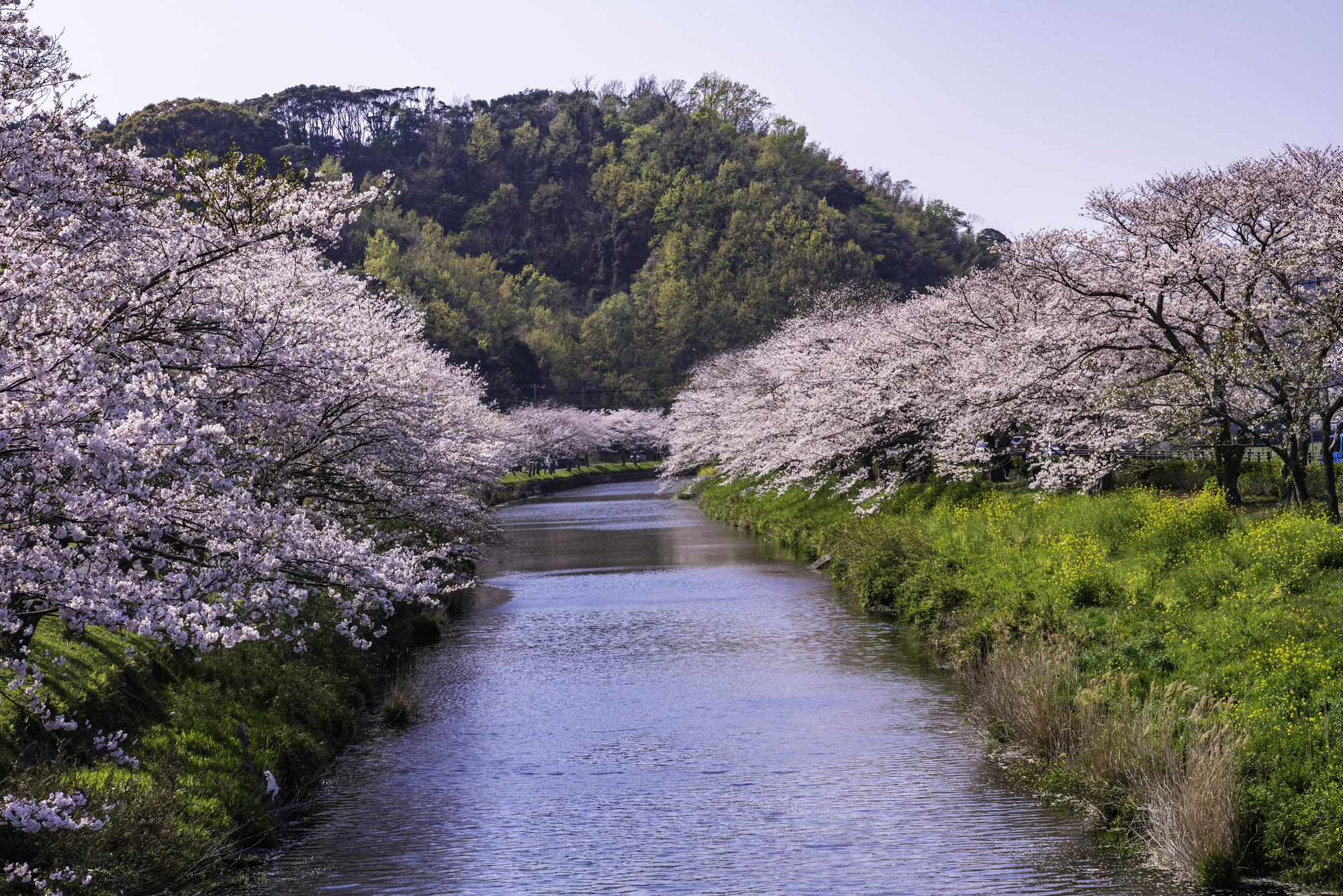 那賀川(那賀川水系 - 静岡県)ライブカメラ一覧