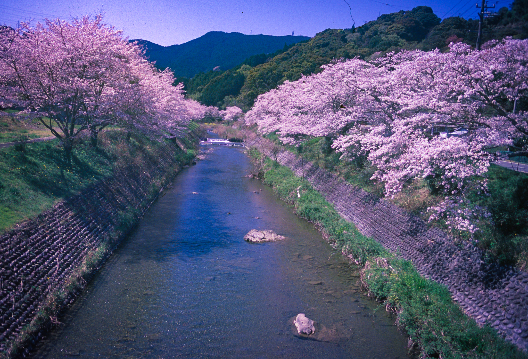 大代川(大井川水系 - 静岡県)ライブカメラ一覧