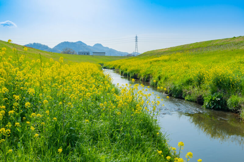 来光川(狩野川水系)ライブカメラ一覧