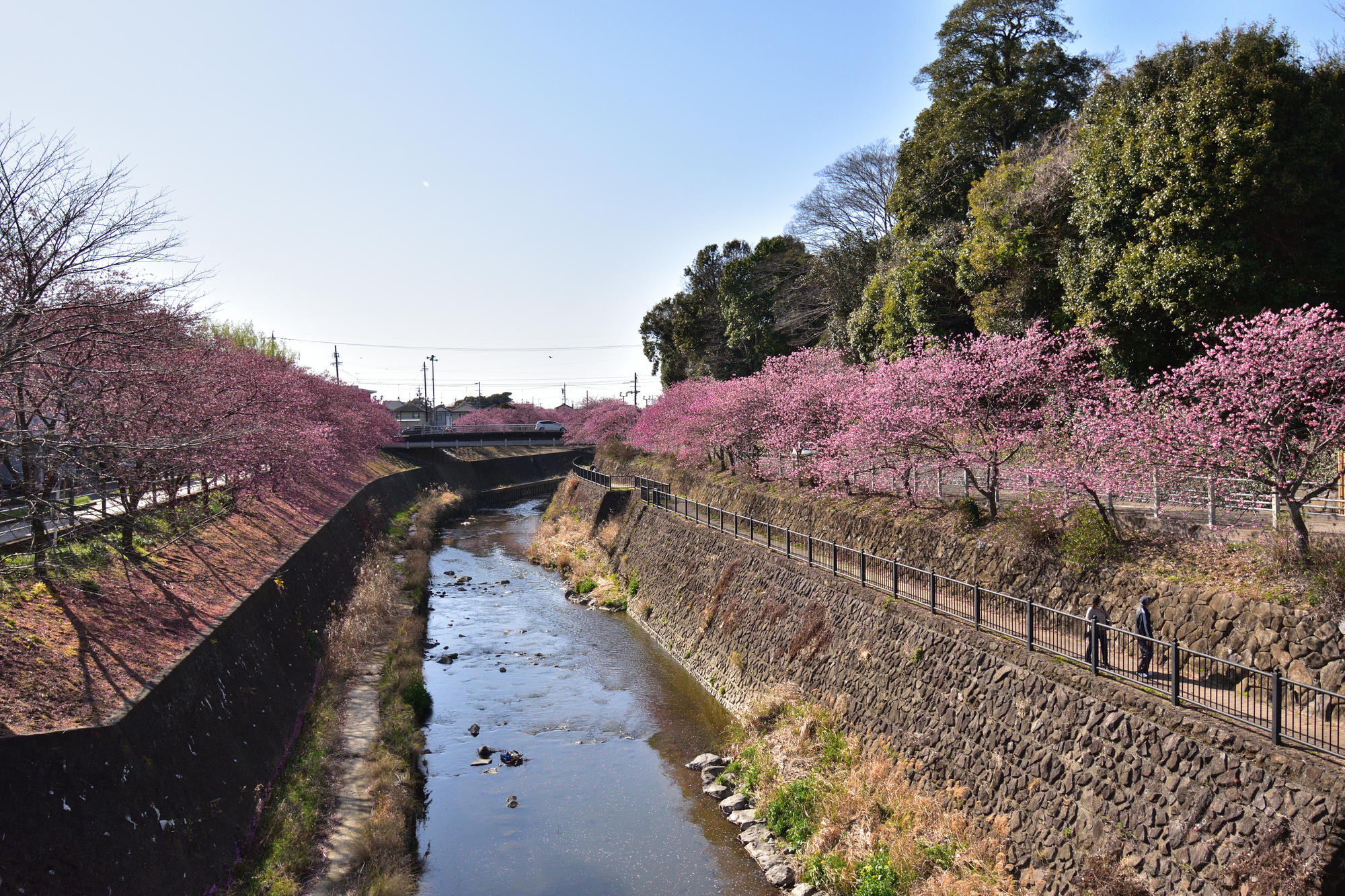 逆川(太田川水系 - 静岡県)ライブカメラ一覧