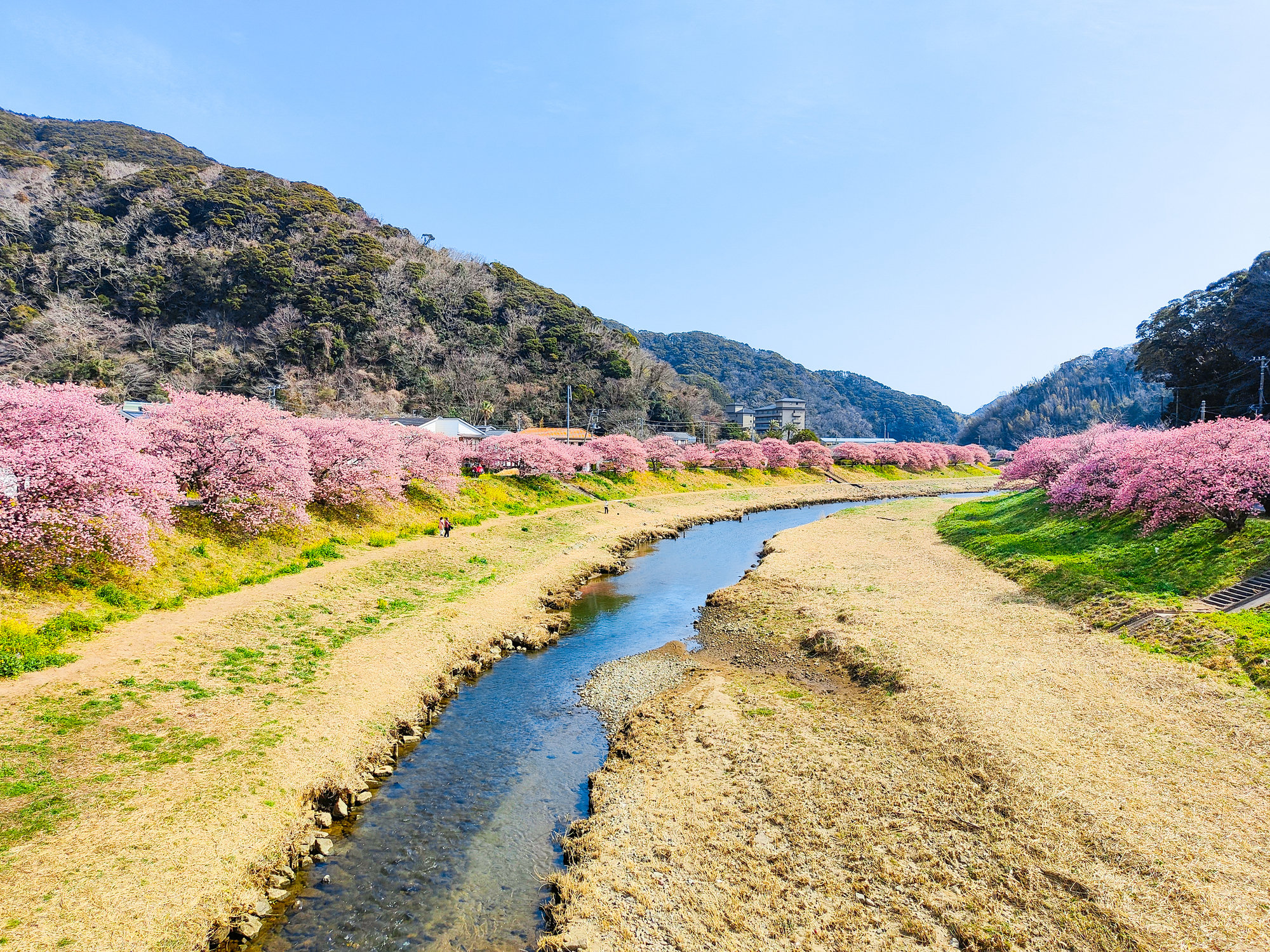 青野川(青野川水系)ライブカメラ一覧
