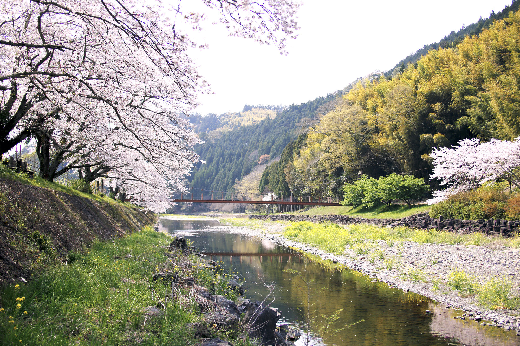 朝比奈川(瀬戸川水系 - 静岡県)ライブカメラ一覧
