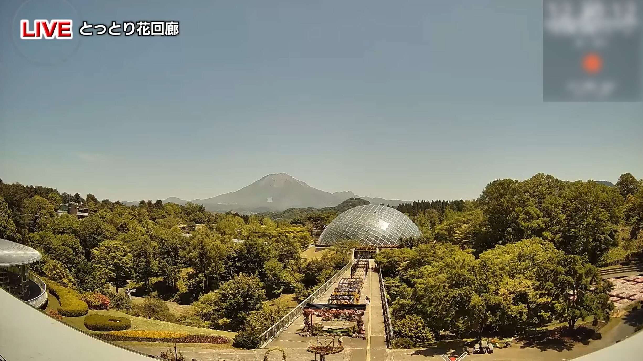 NKTとっとり花回廊フラワーイルミネーションライブカメラ(鳥取県南部町鶴田)