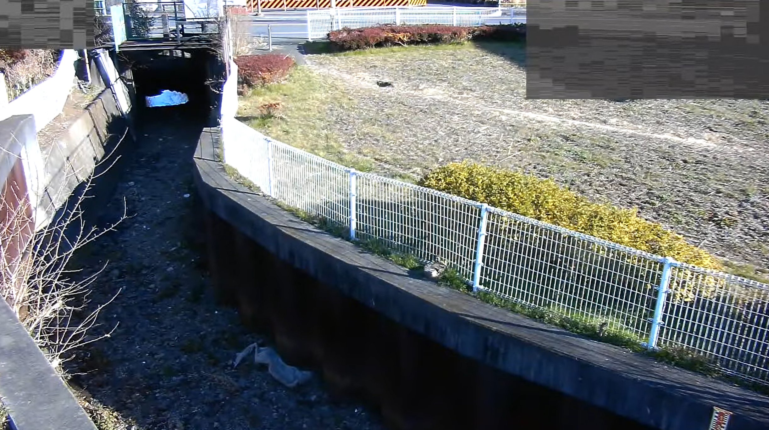 空堀川中砂橋ライブカメラ(東京都武蔵村山市中央)