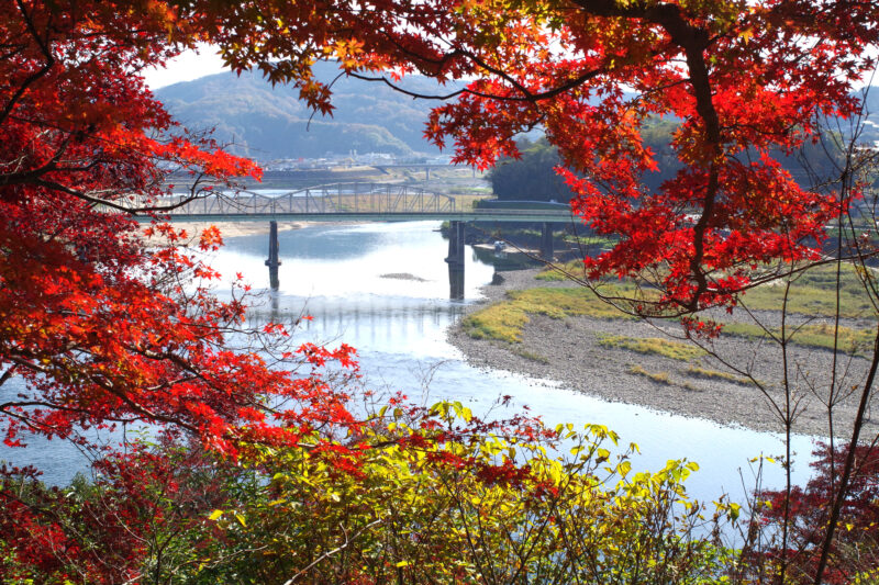 江の川(江の川水系)ライブカメラ一覧