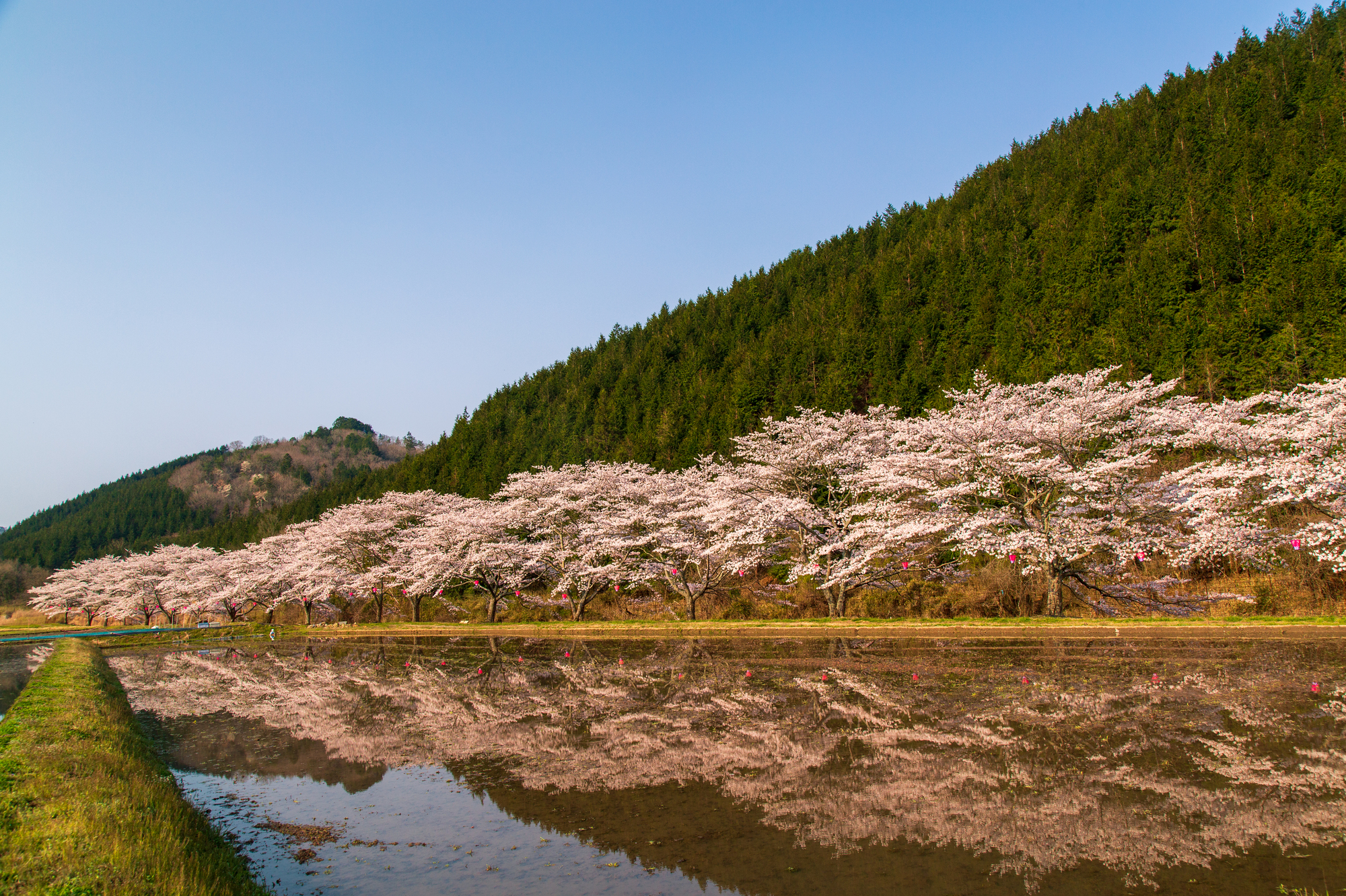 美波羅川(江の川水系)ライブカメラ一覧