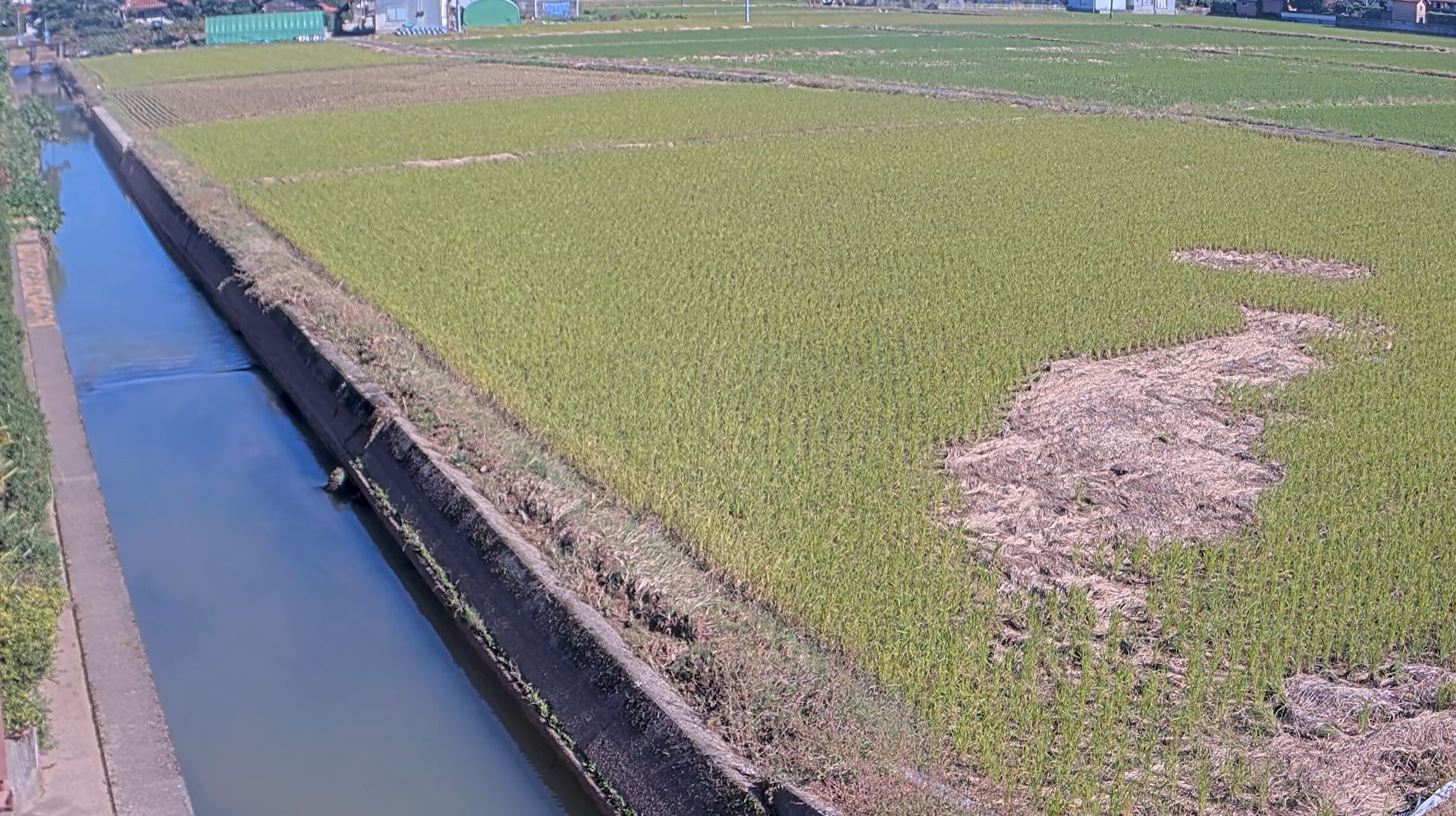 田頼川中津ライブカメラ(島根県安来市中津町)