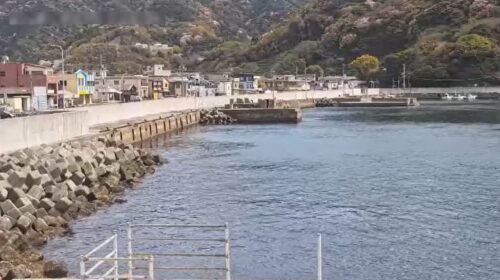 国道197号 ライブカメラDB