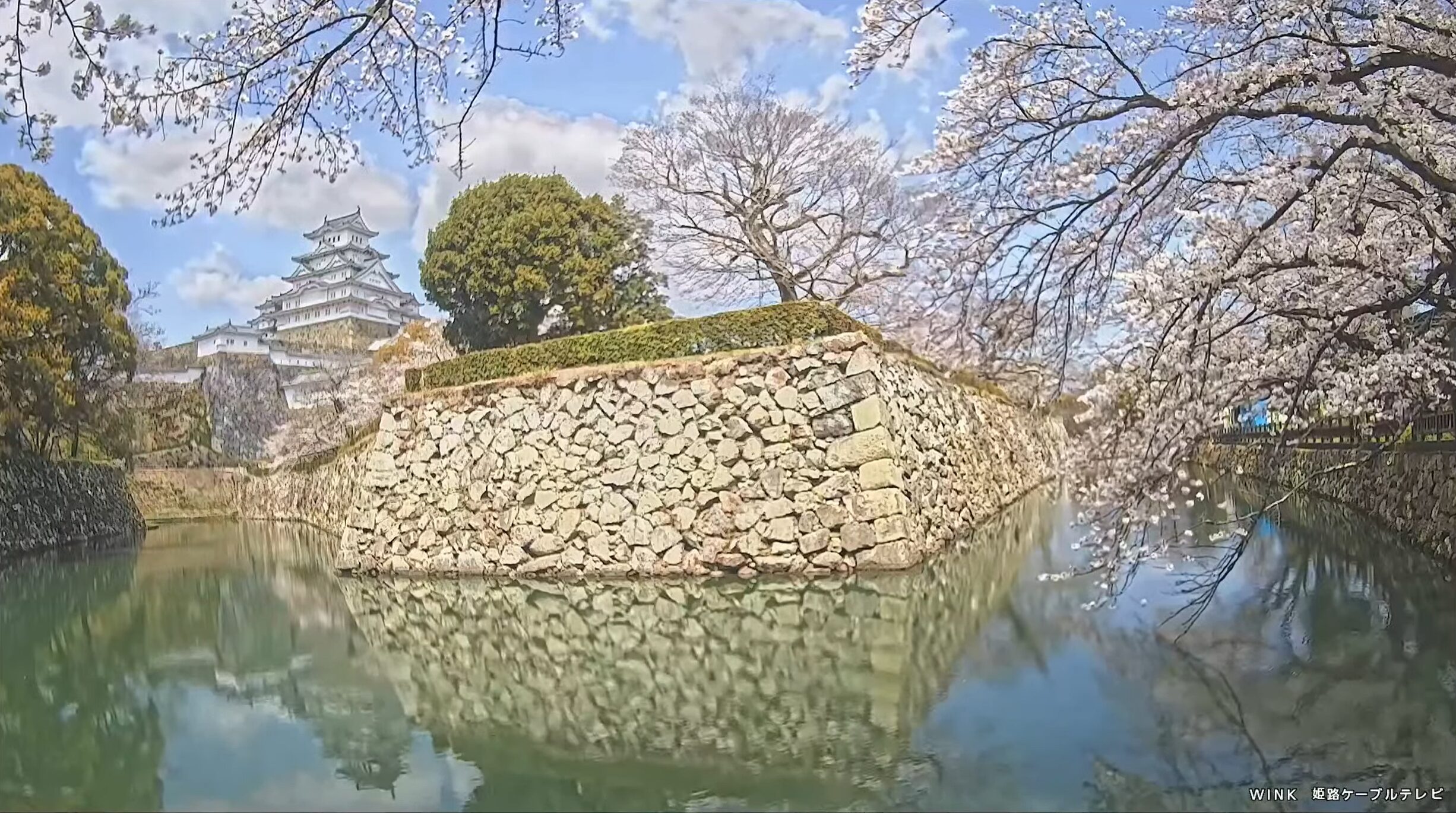 WINK姫路城桜ライブカメラ(兵庫県姫路市本町)