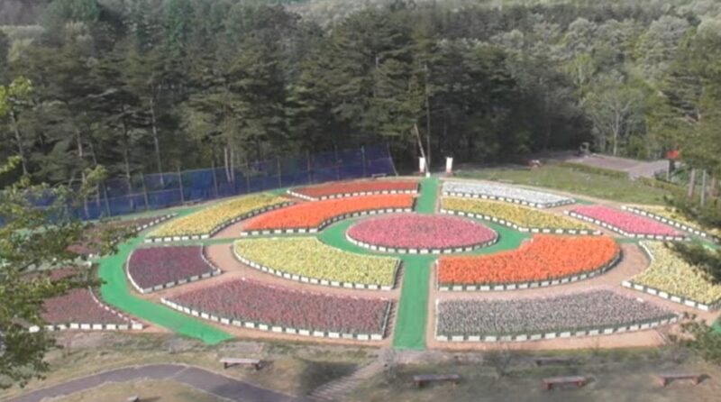 雪谷川ダムフォリストパーク軽米チューリップ園ライブカメラ(岩手県軽米町小軽米)