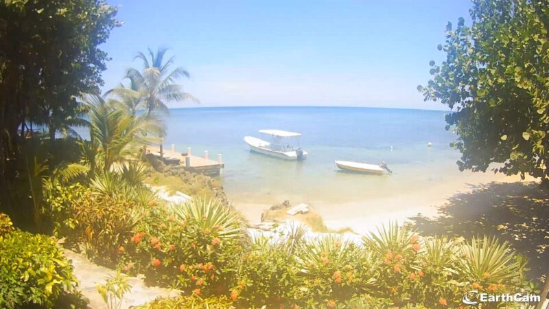 ロアタン島(Roatan Bay Islands, Honduras)ライブカメラ