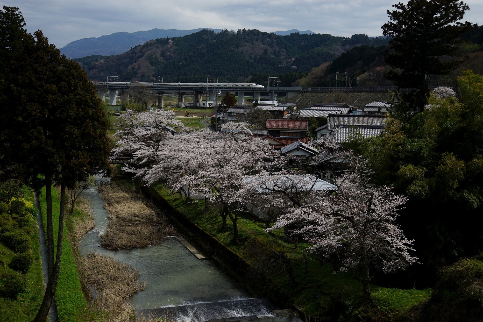 藤古川(木曽川水系)ライブカメラ一覧