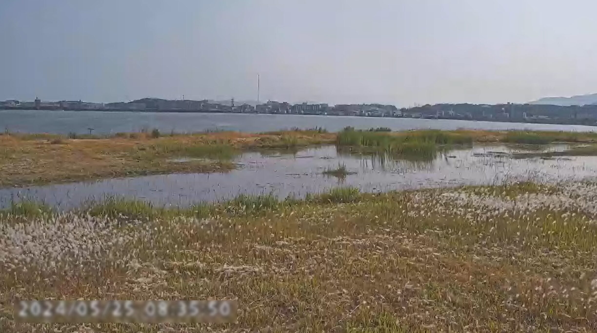 アイランドシティはばたき公園湿地ライブカメラ(福岡県福岡市東区香椎照葉)