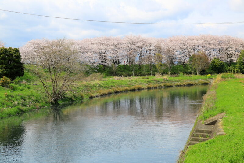 平野井川(木曽川水系)ライブカメラ一覧