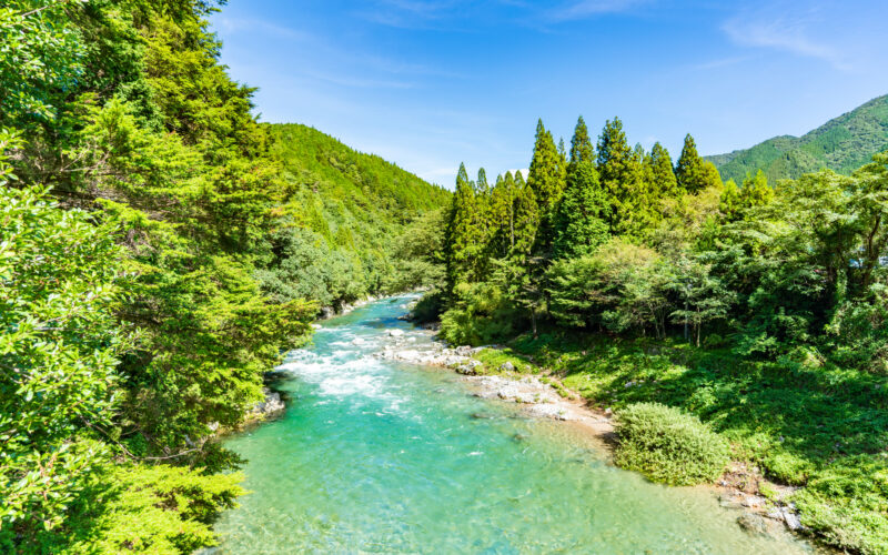 板取川(木曽川水系)ライブカメラ一覧