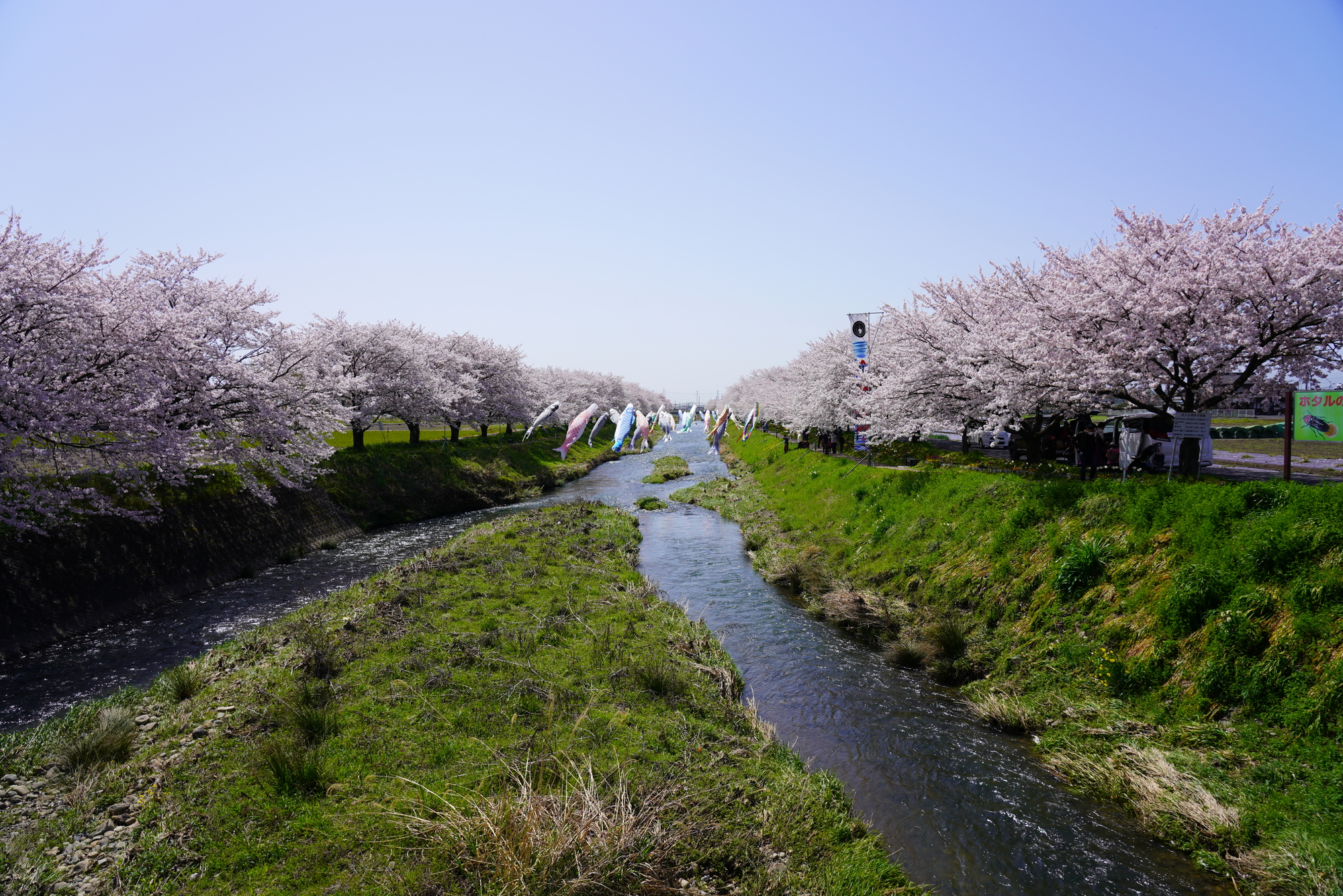 板屋川(木曽川水系)ライブカメラ一覧