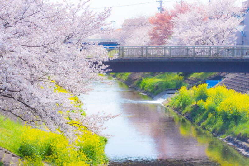 三水川(木曽川水系)ライブカメラ一覧