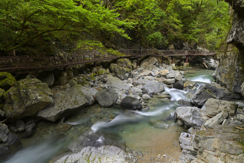 小坂川(木曽川水系)ライブカメラ一覧