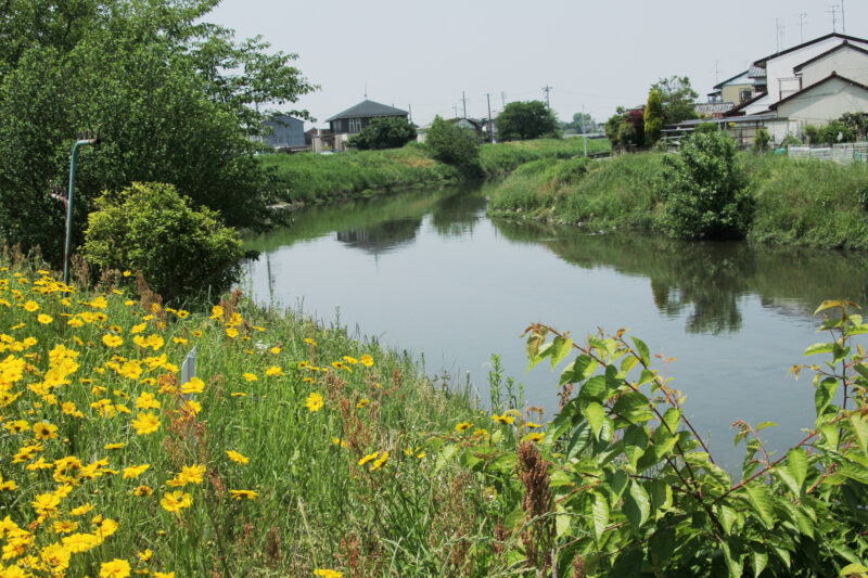 新荒田川(木曽川水系)ライブカメラ一覧