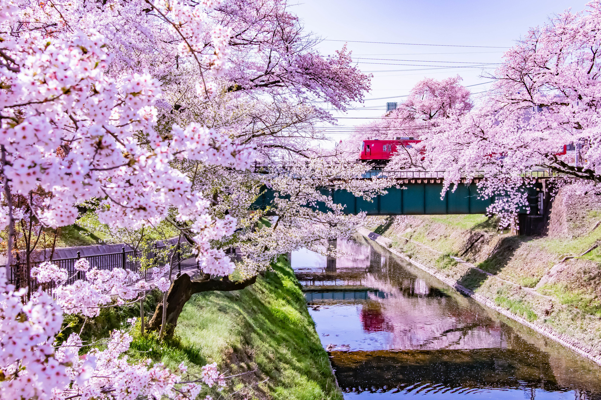 新境川(木曽川水系)ライブカメラ一覧