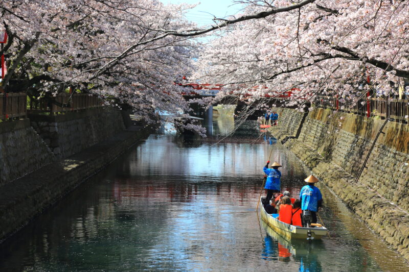 水門川(木曽川水系)ライブカメラ一覧a