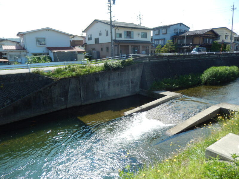 苔川(神通川水系)ライブカメラ一覧