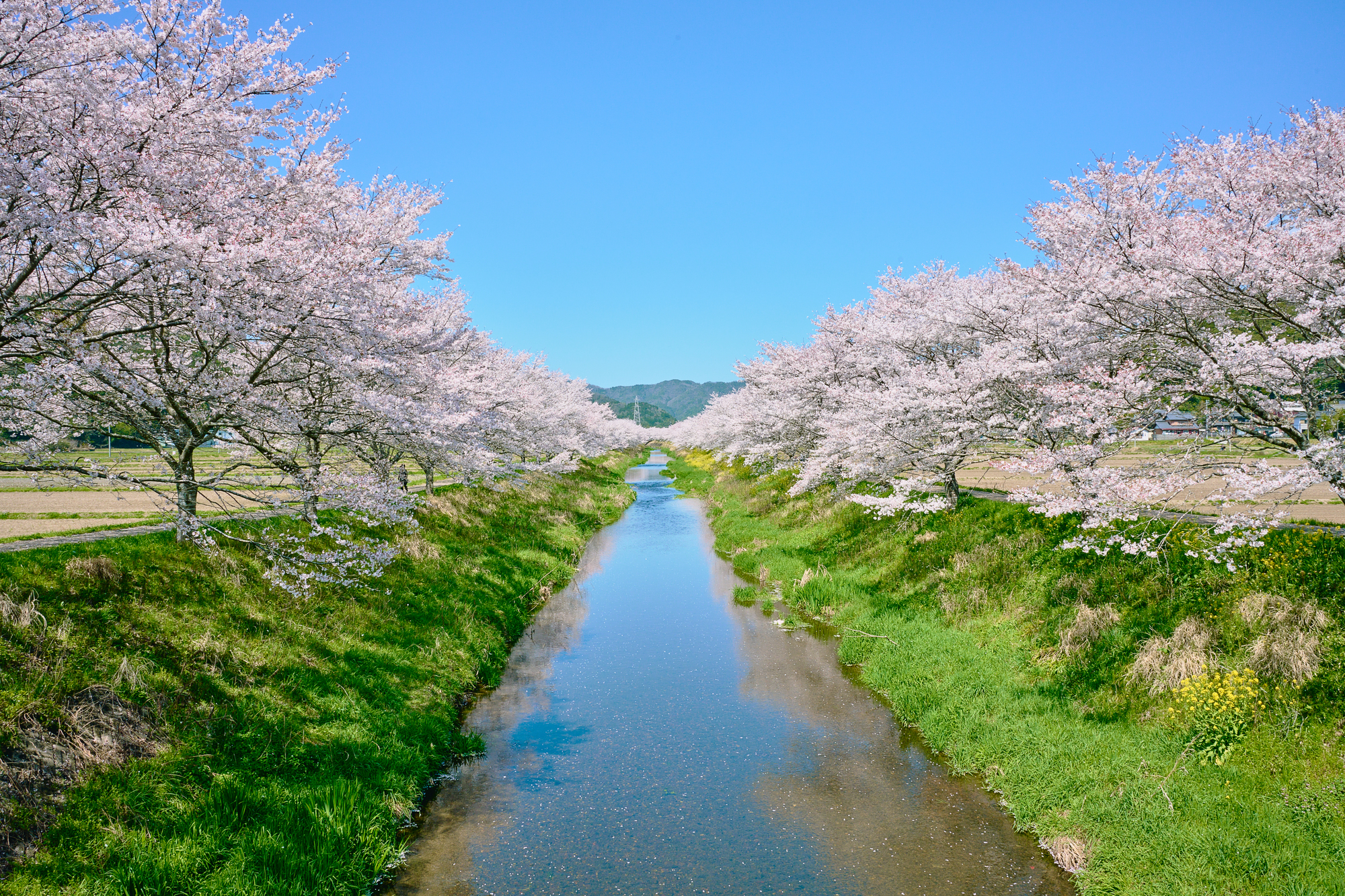 鳥羽川(木曽川水系)ライブカメラ一覧