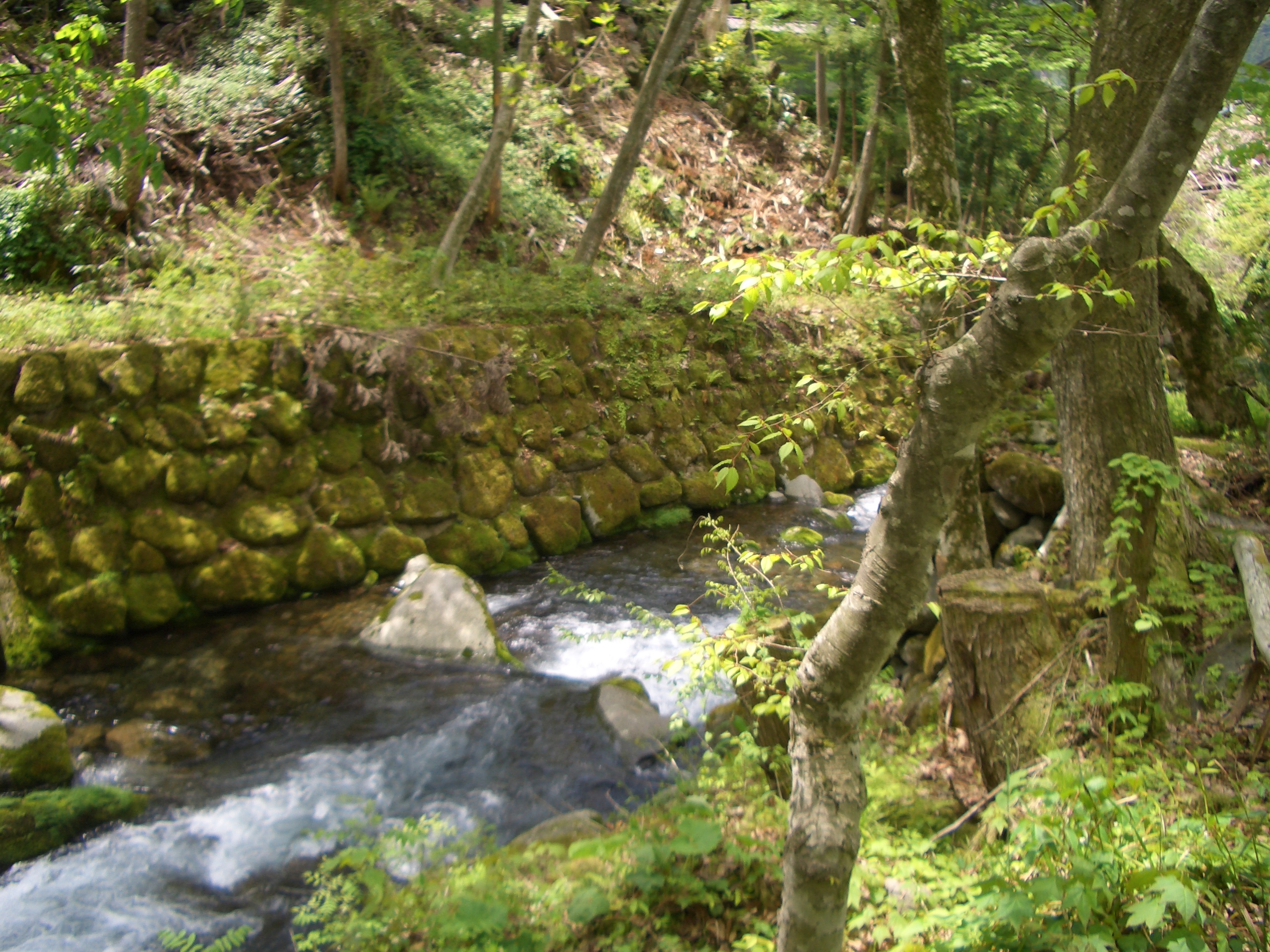 牛道川(木曽川水系)ライブカメラ一覧