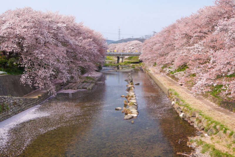 厚狭川(厚狭川水系)ライブカメラ一覧