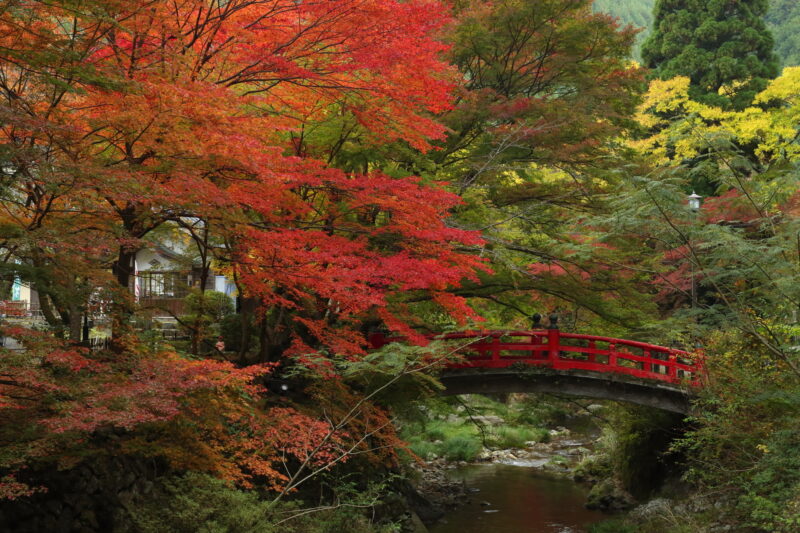 大寧寺川(深川川水系)ライブカメラ一覧