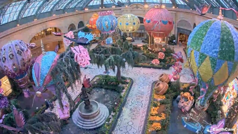 ベラージオ・コンサーバトリー & ボタニカル・ガーデンズ(Bellagio Conservatory & Botanical Gardens)ライブカメラ