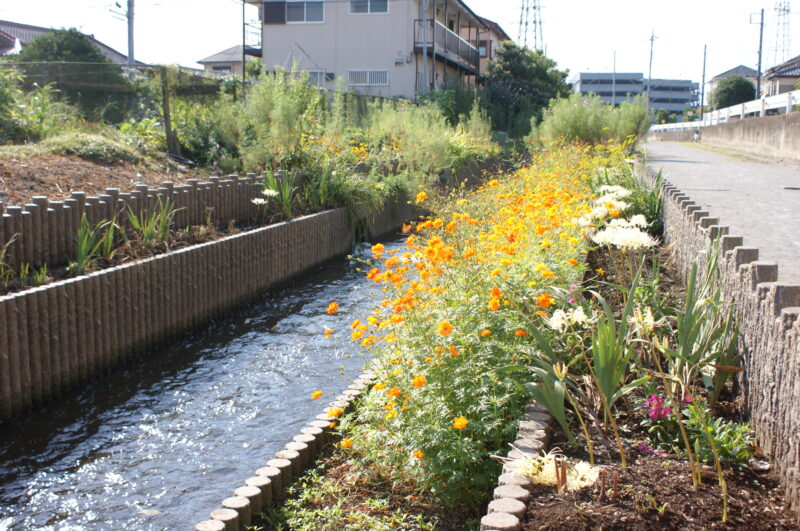 府中用水(多摩川水系)ライブカメラ一覧