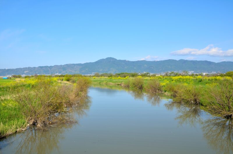 葉山川(淀川水系)ライブカメラ一覧