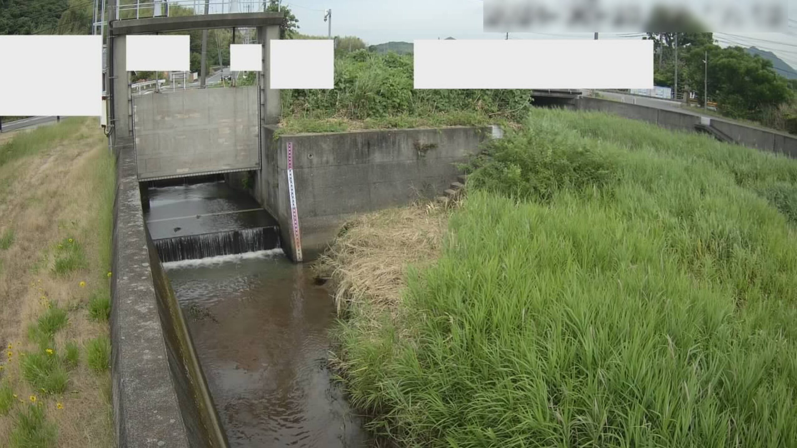 河内川金鷲橋ライブカメラ(山口県防府市台道)