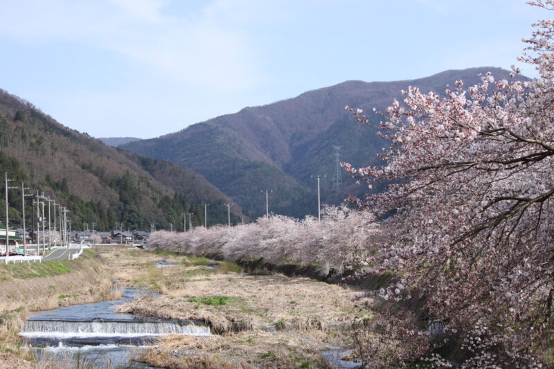 草野川(淀川水系)ライブカメラ一覧