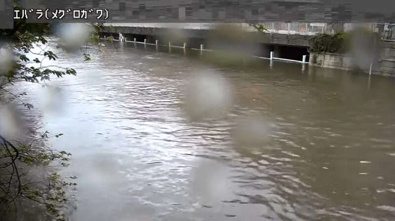 目黒川荏原ライブカメラ(東京都品川区西五反田) 2025年9月11日15時42分 ゲリラ豪雨による大雨増水時