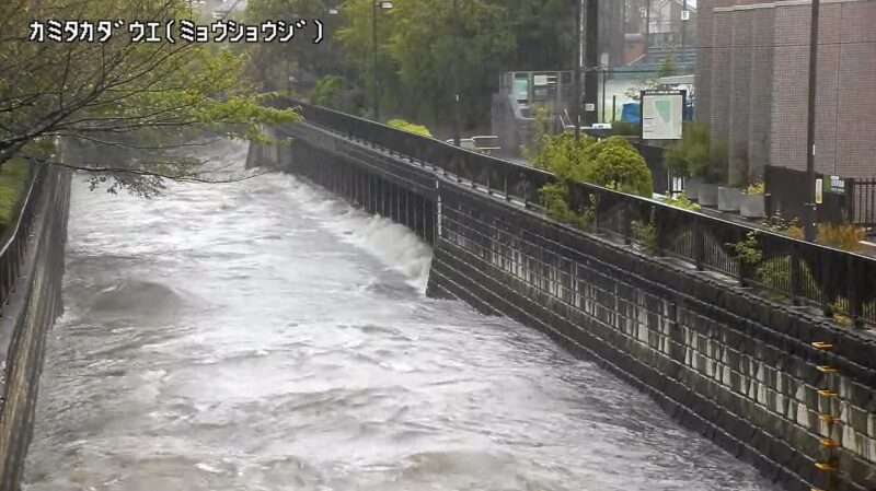 妙正寺川上高田上ライブカメラ(東京都中野区上高田)