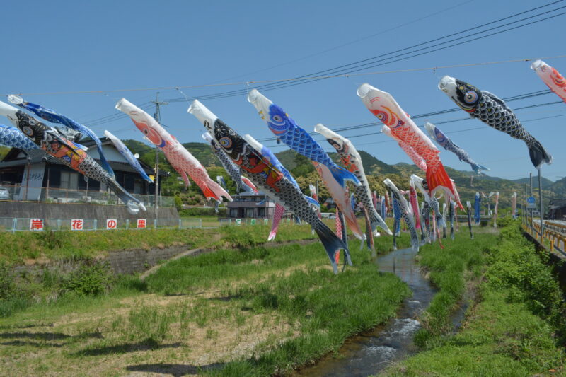 仁保川(椹野川水系)ライブカメラ一覧