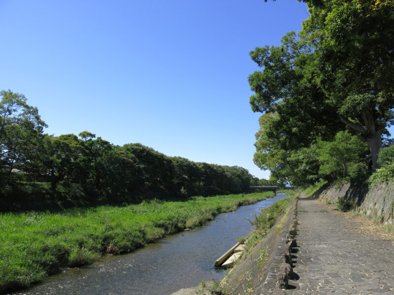 芹川(淀川水系)ライブカメラ一覧