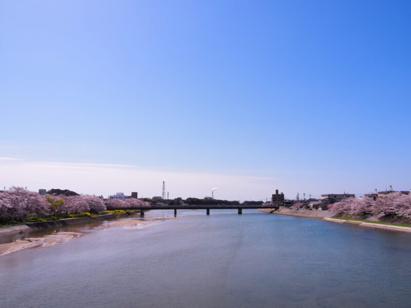 島田川(島田川水系)ライブカメラ一覧