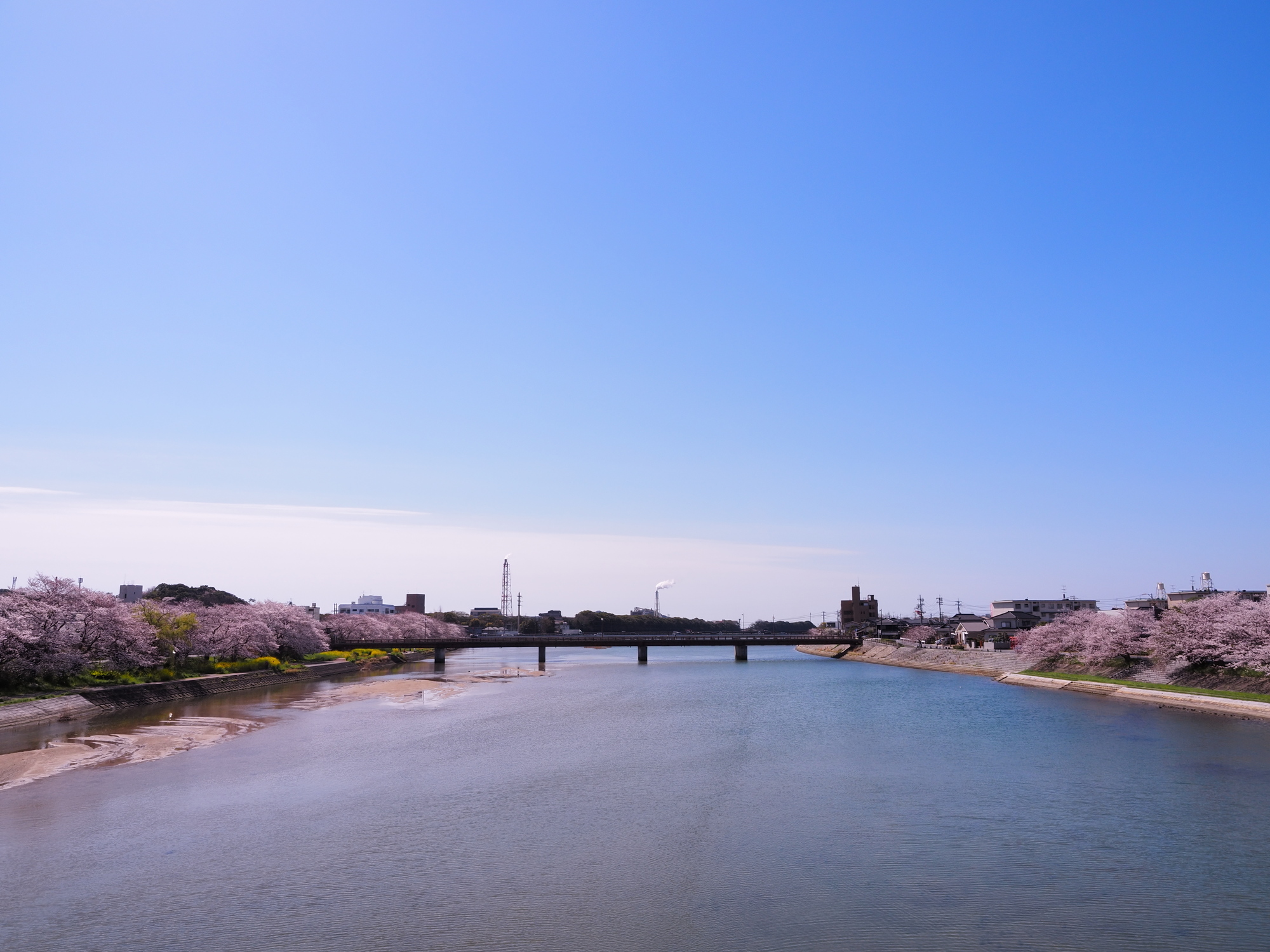 島田川(島田川水系)ライブカメラ一覧