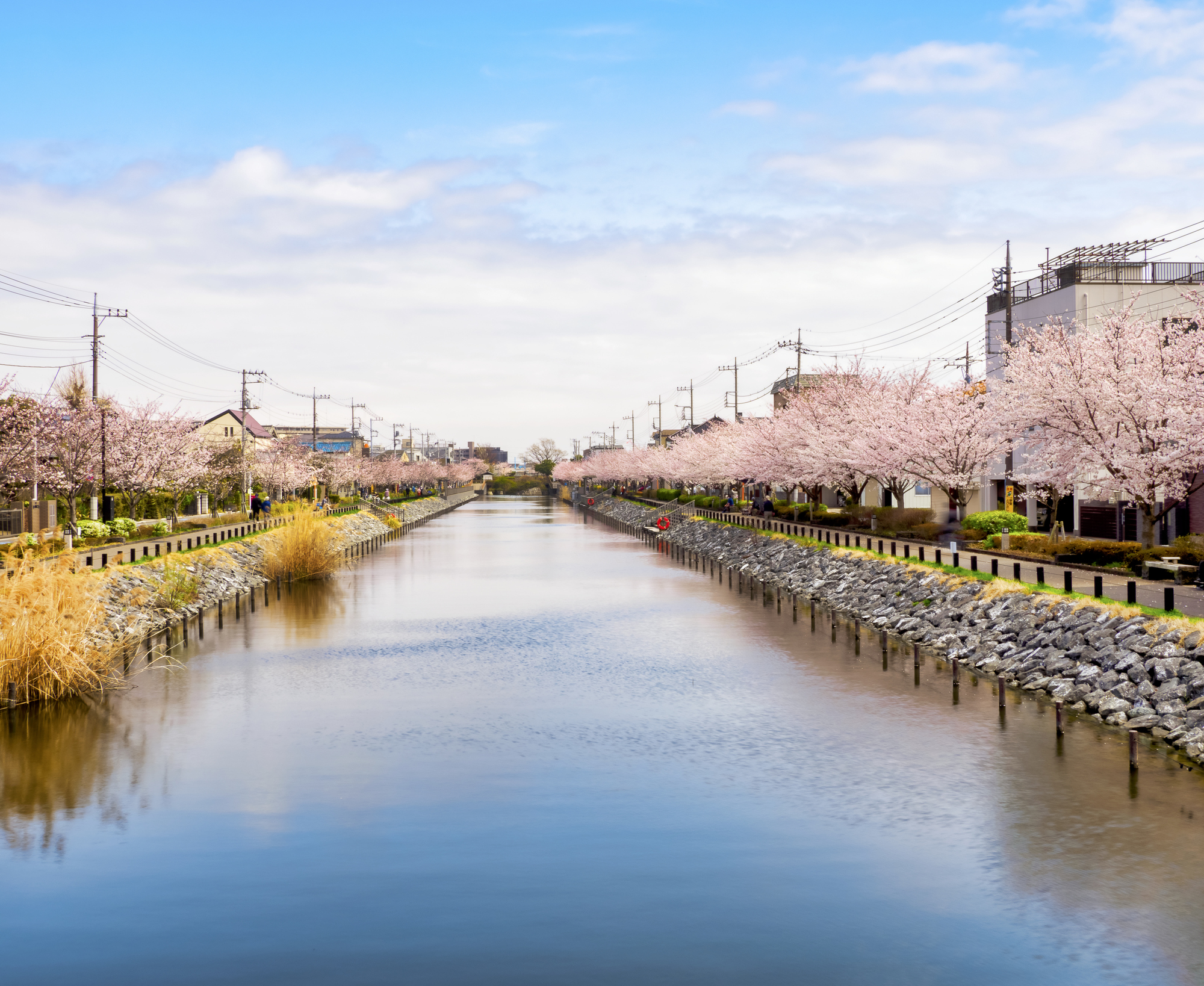 新川(利根川水系)ライブカメラ一覧