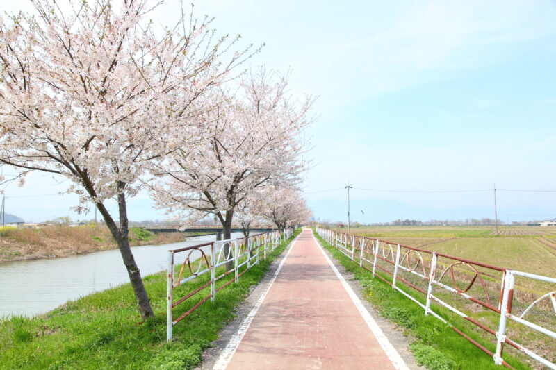 白鳥川(淀川水系)ライブカメラ一覧