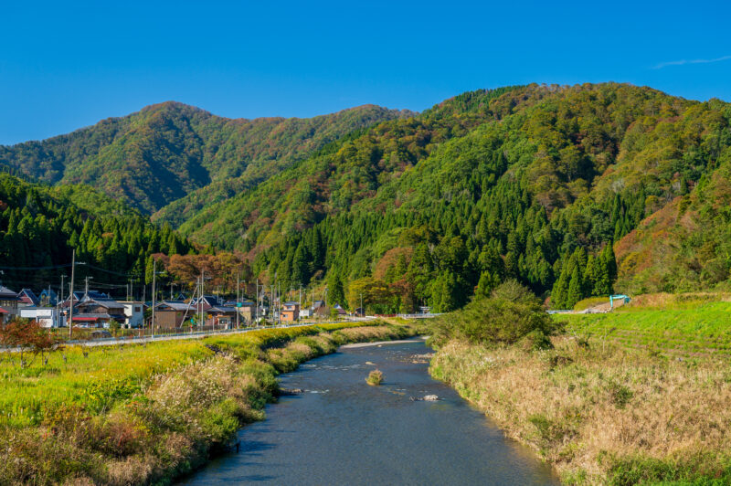 高時川(淀川水系)ライブカメラ一覧