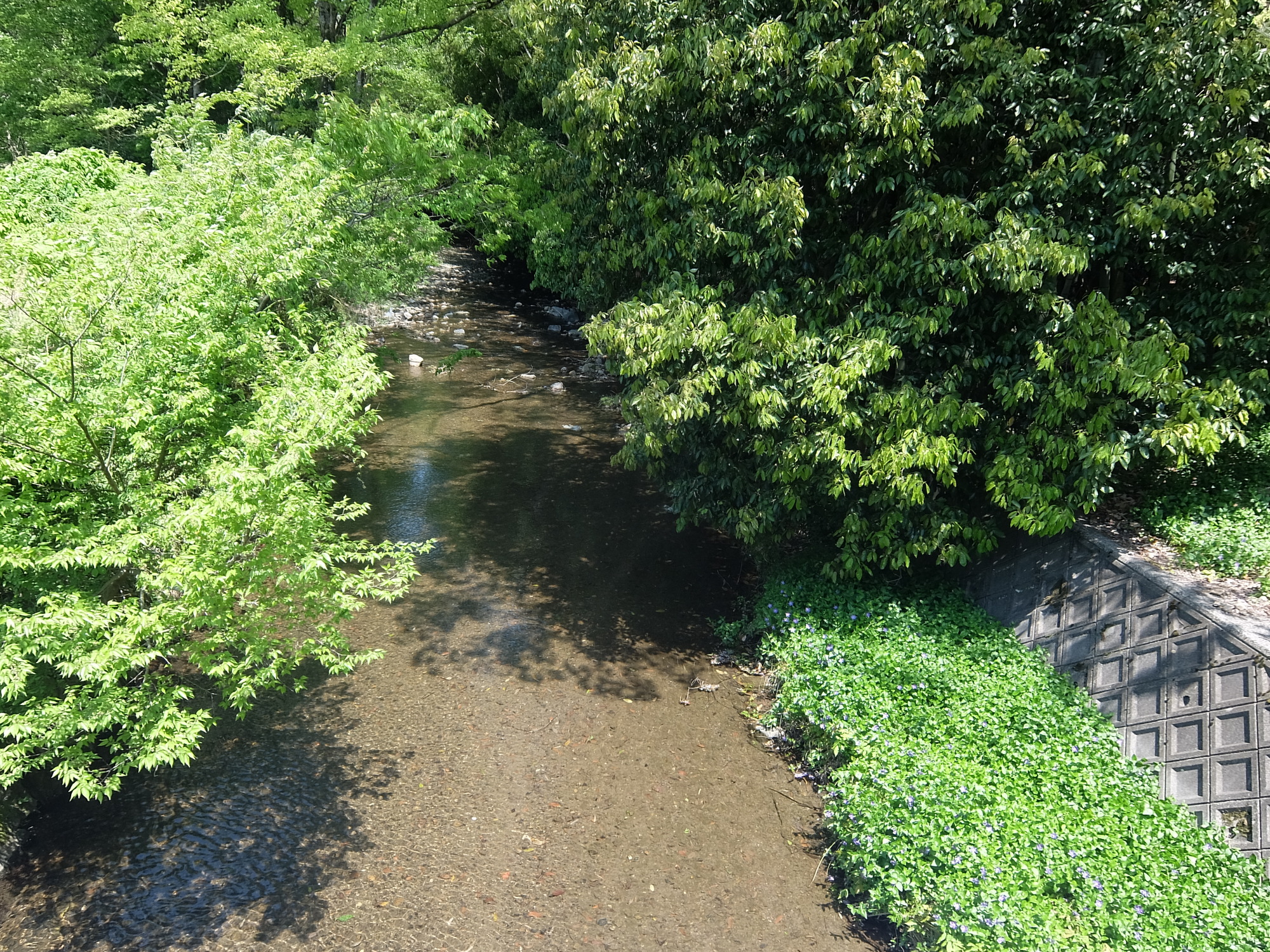 矢倉川(淀川水系)ライブカメラ一覧