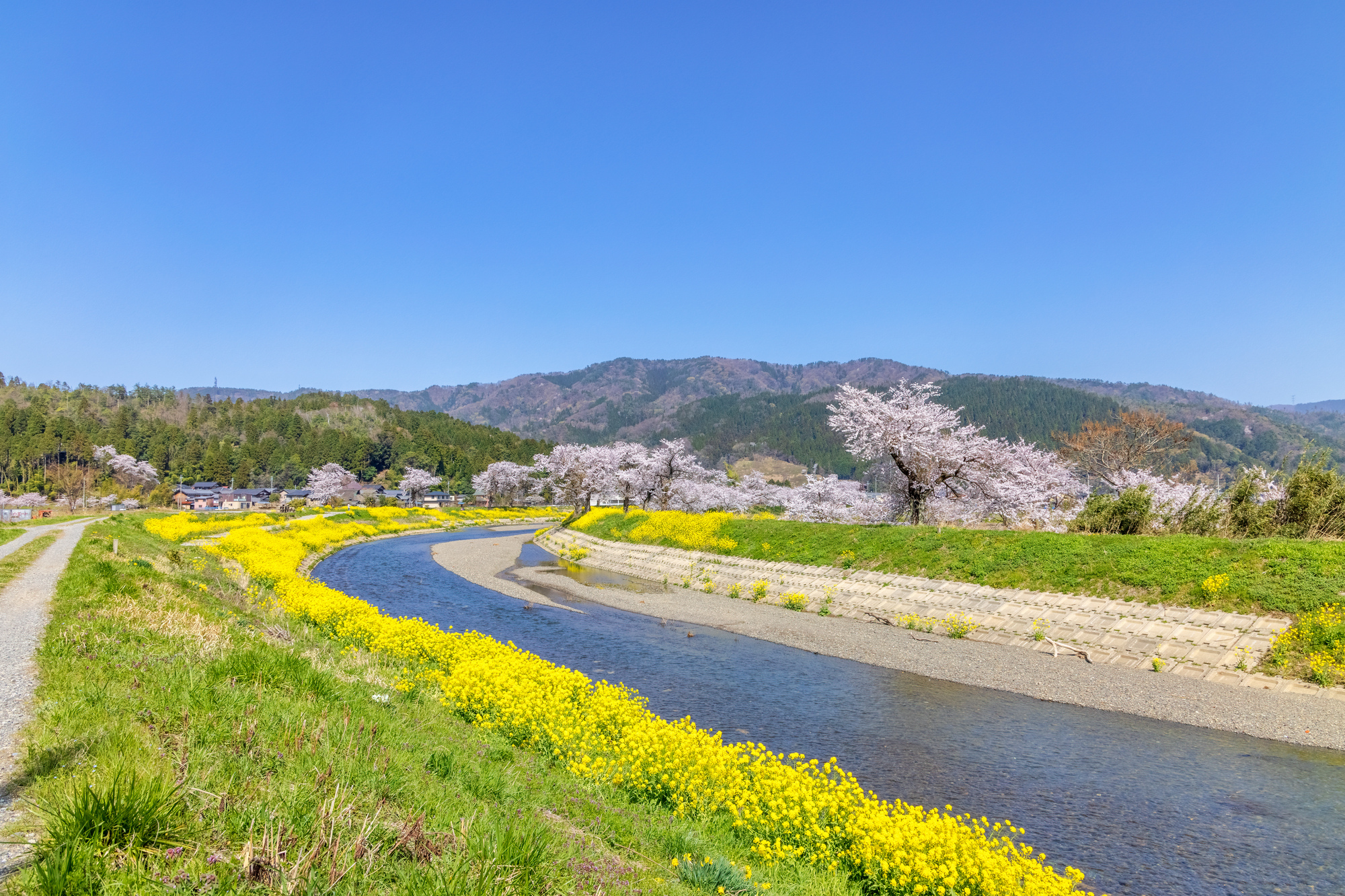 余呉川(淀川水系)ライブカメラ一覧